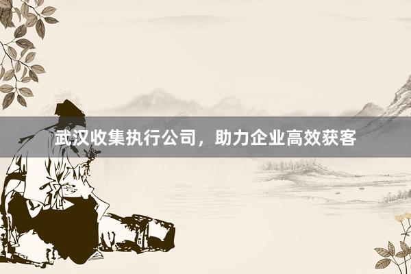武汉收集执行公司，助力企业高效获客