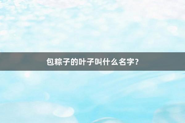 包粽子的叶子叫什么名字？