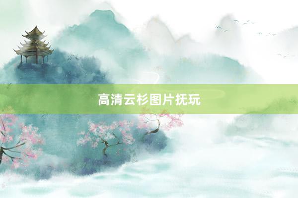 高清云杉图片抚玩